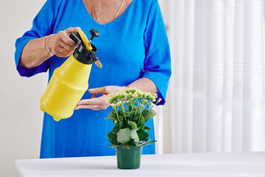 Similar image 20814450