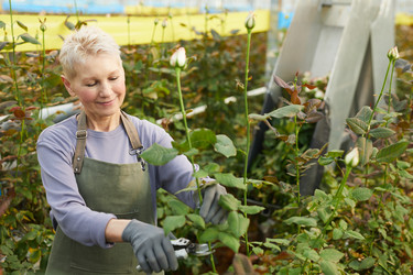 Similar image 20801897