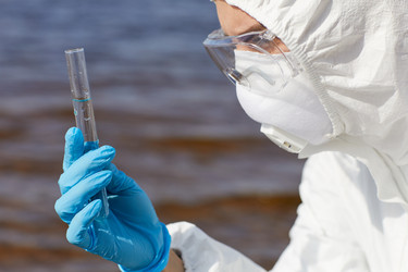 Similar image 20800157