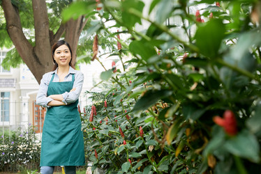 Similar image 20881527