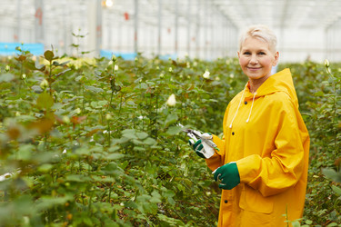 Similar image 20813564