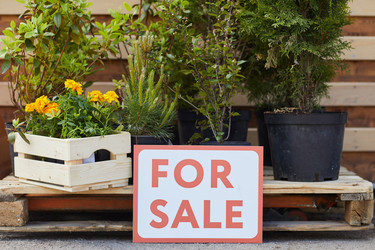 Similar image 20840528