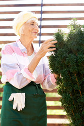 Similar image 20855669