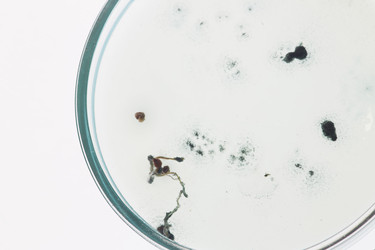 Similar image 20879175