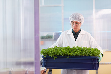 Similar image 20795421