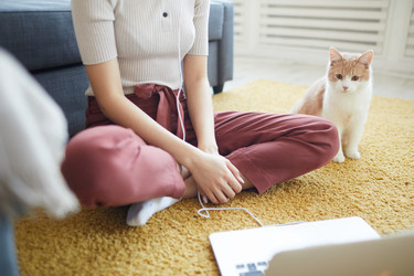 Similar image 20803803