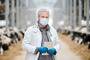 Similar image 20806037