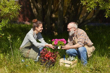 Similar image 20800277