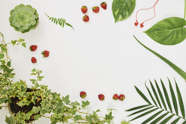 Similar image 20848536