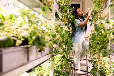 Similar image 20881614