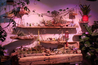 Similar image 20794395