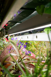 Similar image 20796039