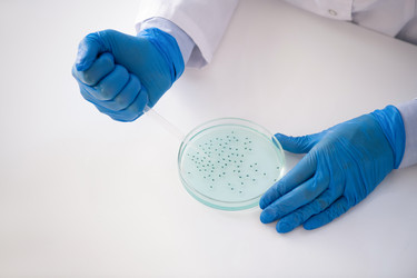 Similar image 20827574