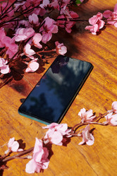 Similar image 20883415