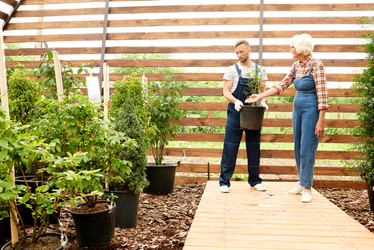 Similar image 20863831