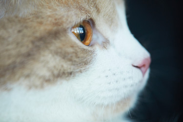 Similar image 20798610