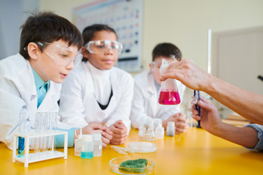 Similar image 20884248