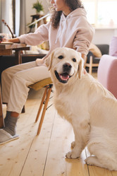 Similar image 20808156