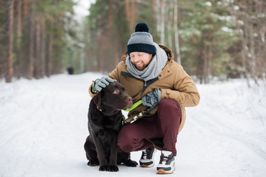 Similar image 20807615