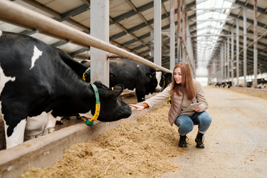 Similar image 20810512