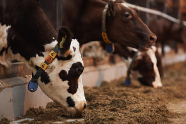 Similar image 20822314