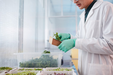 Similar image 20831136