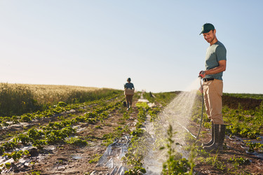 Similar image 20827287