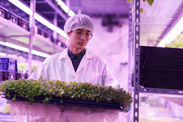 Similar image 20804930