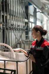 Similar image 20789010