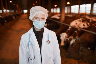 Similar image 20796677