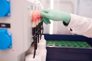 Similar image 20796608