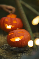 Similar image 20812921