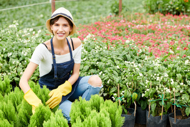 Similar image 20888764