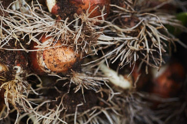 Similar image 20815525