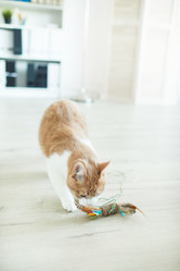 Similar image 20798810