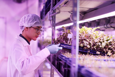 Similar image 20799638