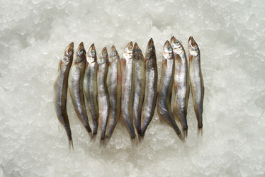 Similar image 20810484