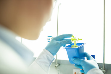 Similar image 20887773