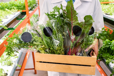 Similar image 20879991