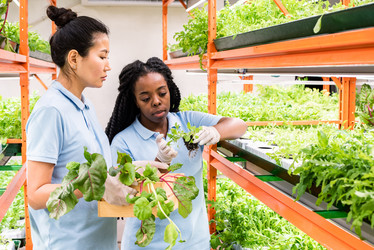 Similar image 20882639