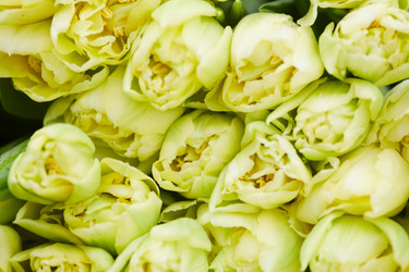 Similar image 20790545