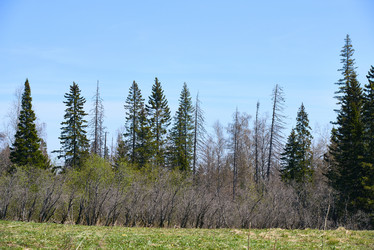 Similar image 20800272