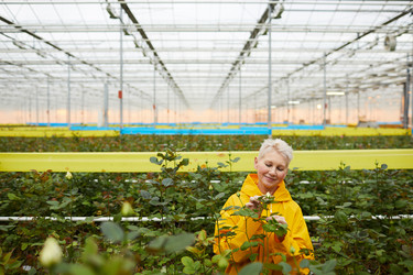 Similar image 20804743