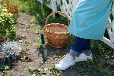 Similar image 20846431