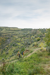 Similar image 20819911