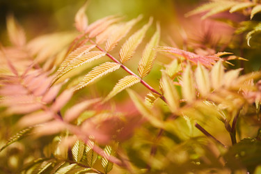 Similar image 20807042