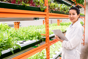 Similar image 20888855