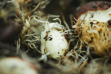 Similar image 20814401