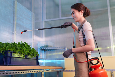 Similar image 20822286