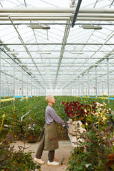 Similar image 20799318